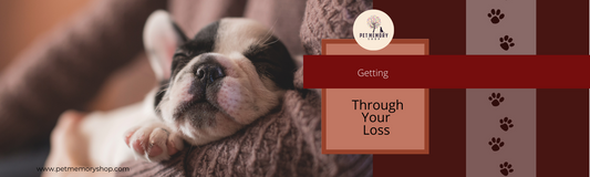 Help to Get Through Pet Loss