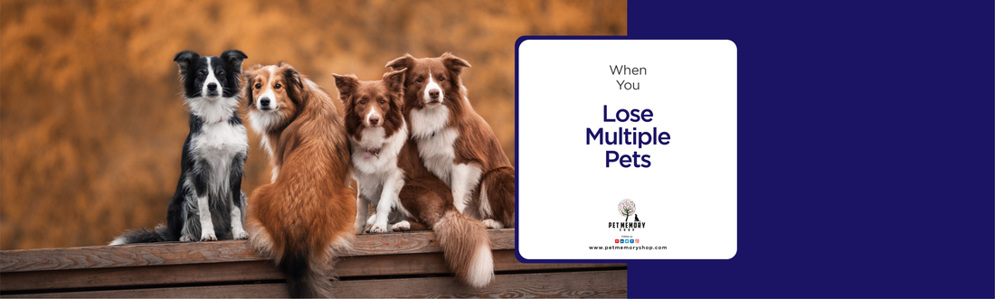 When You Lose Multiple Pets