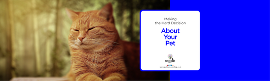 Making the Hard Decision about Your Pet