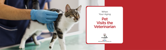 When Your Aging Pet Visits the Veterinarian