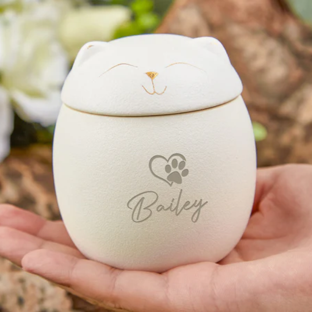 Custom Cat Urn - Personalized Name, Font, & Symbol (5 Available Colors)
