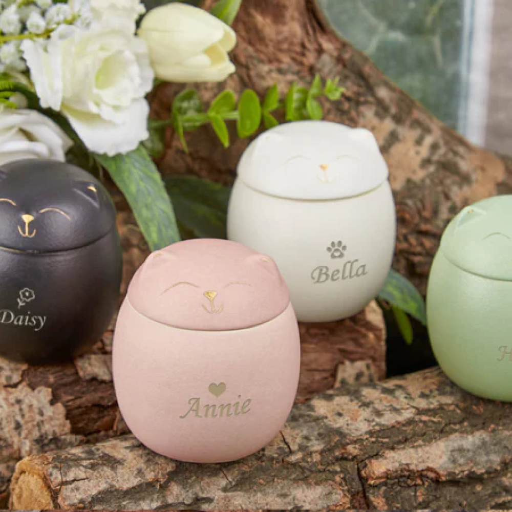 Custom Cat Urn - Personalized Name, Font, & Symbol (5 Available Colors)
