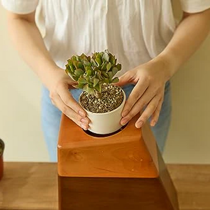 Plant Urn with Ceramic Pot