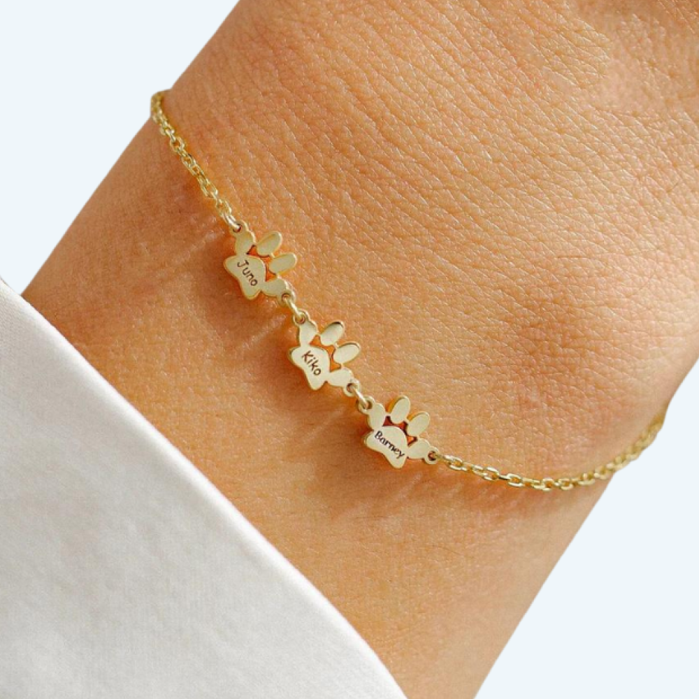 Custom Chic Engraved Paw Bracelet | Many Styles, Colors, Sizes Available