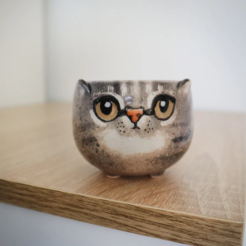 Custom Cat Portrait Pottery Seedling Planter | Personalized Pet Ceramic Succulent Dish