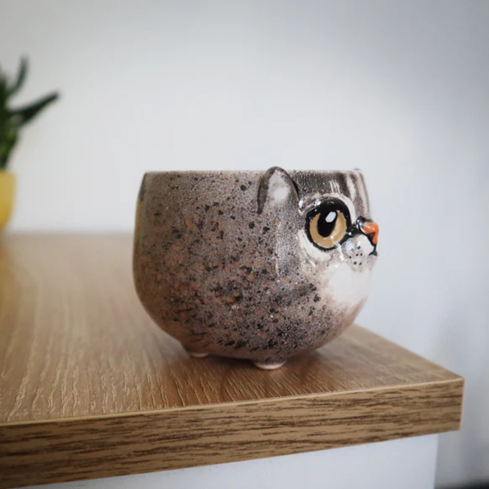Custom Cat Portrait Pottery Seedling Planter | Personalized Pet Ceramic Succulent Dish