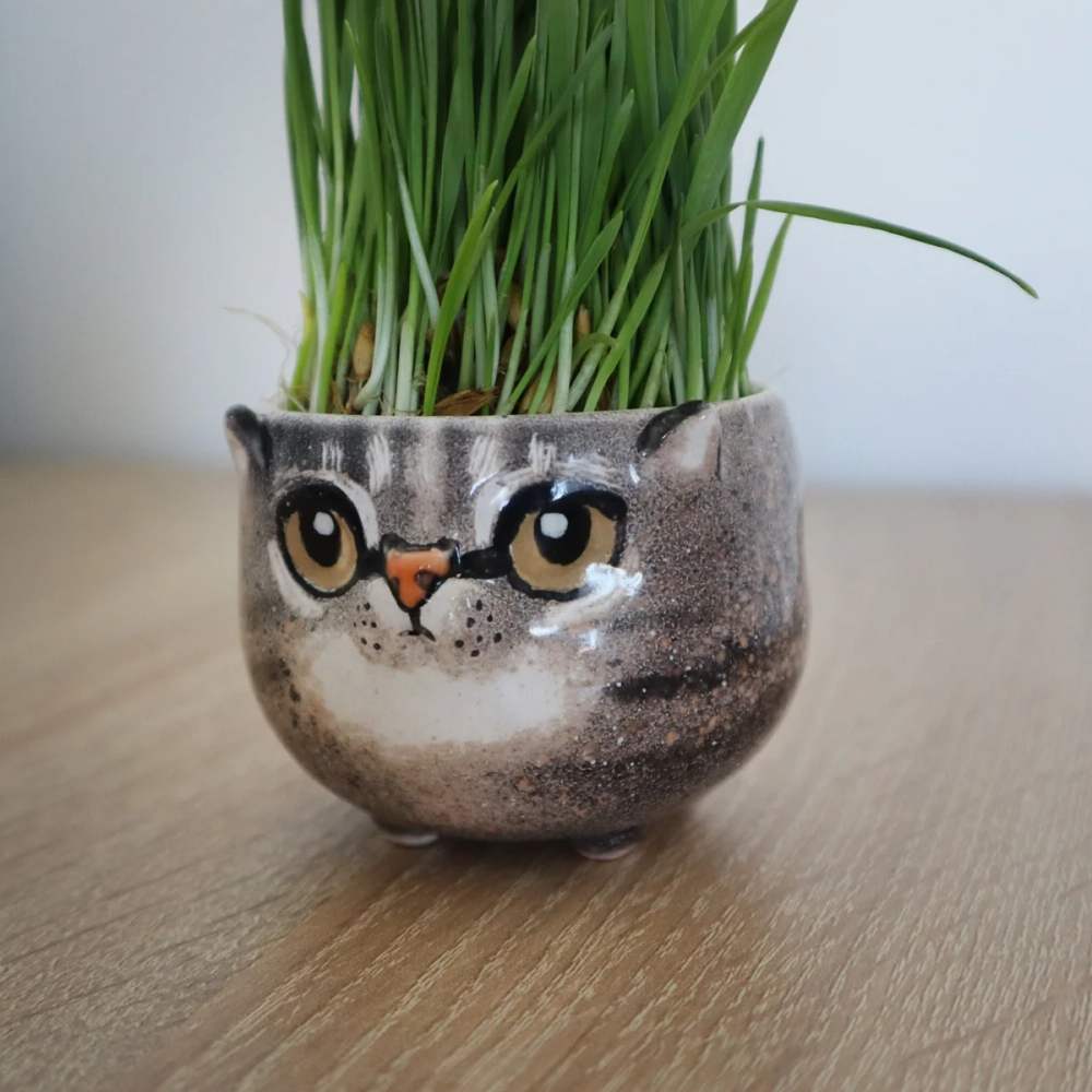 Custom Cat Portrait Pottery Seedling Planter | Personalized Pet Ceramic Succulent Dish