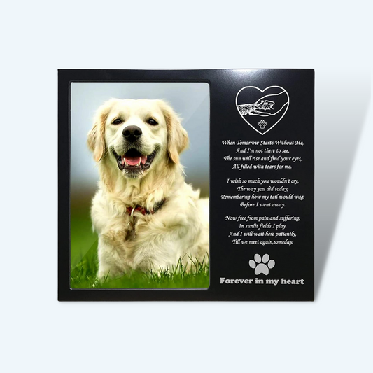 "Forever In My Heart" Pet Memorial Metal Picture Frame