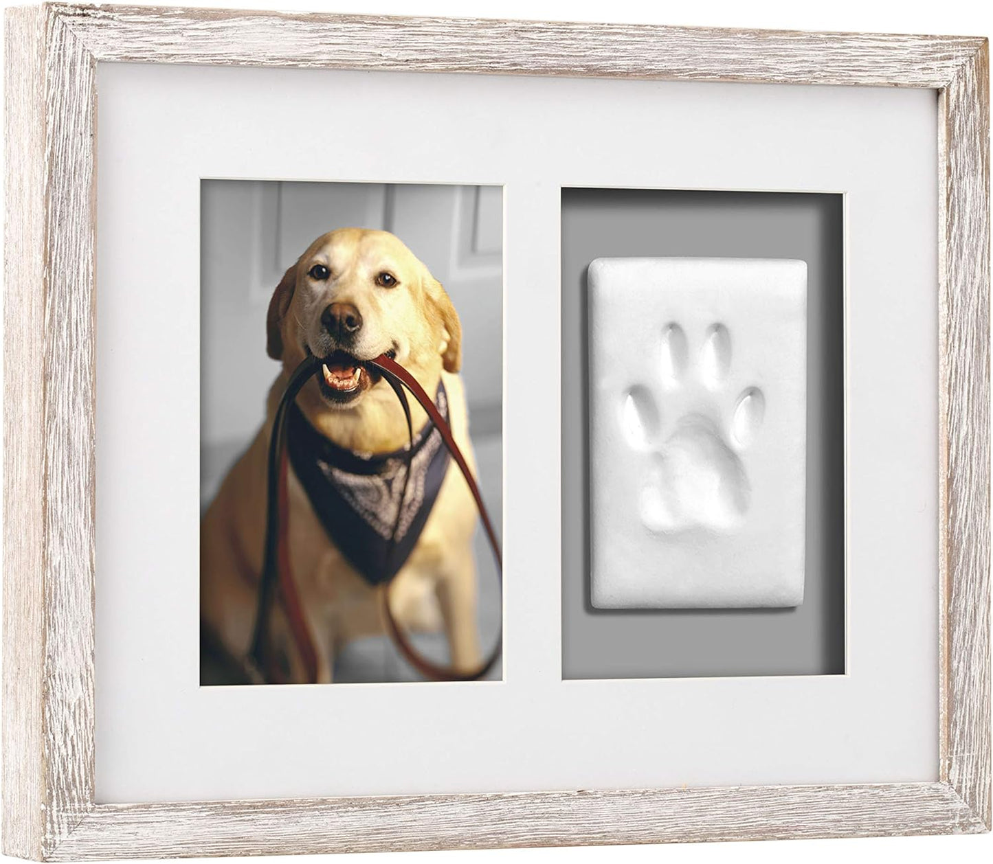Pet Pawprints Wall Picture Frame and Clay Impression Kit, Distressed White