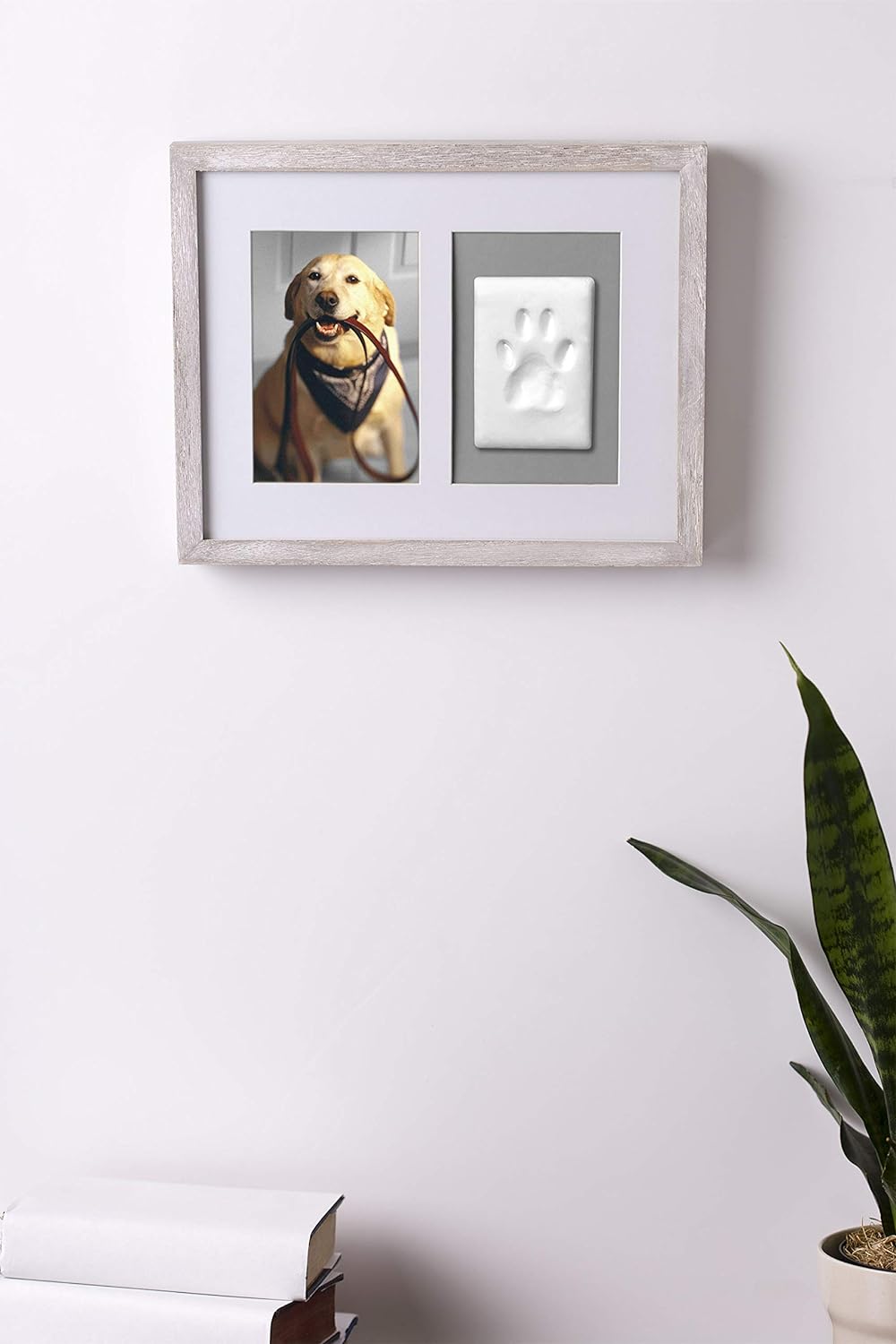 Pet Pawprints Wall Picture Frame and Clay Impression Kit, Distressed White
