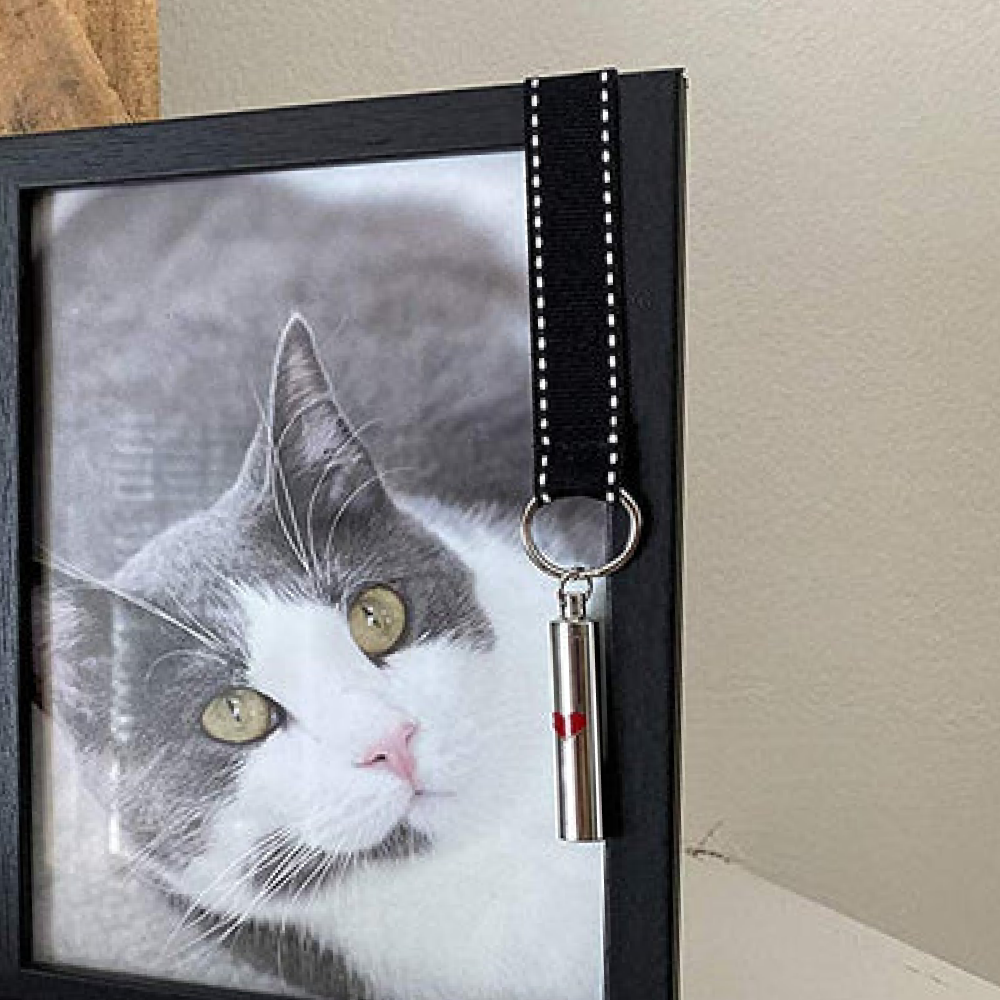 "Pawprints Left By You" 5" x 7" Memorial Plaque & Photo Frame