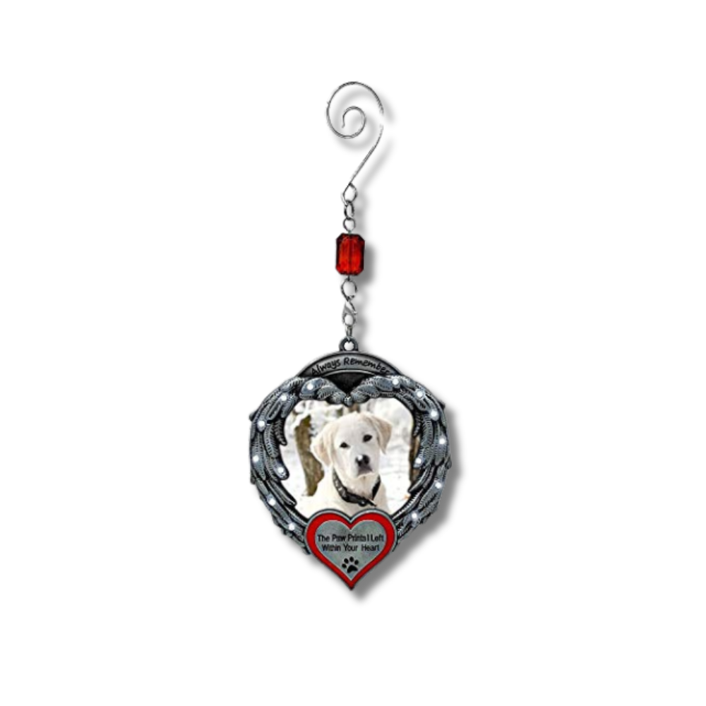 Always Remember The Paw Prints I Left Within Your Heart - Angel Wings Picture Frame