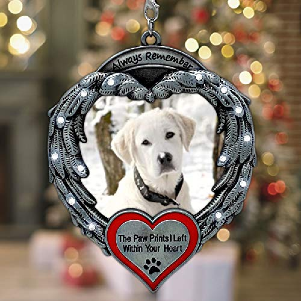 Always Remember The Paw Prints I Left Within Your Heart - Angel Wings Picture Frame