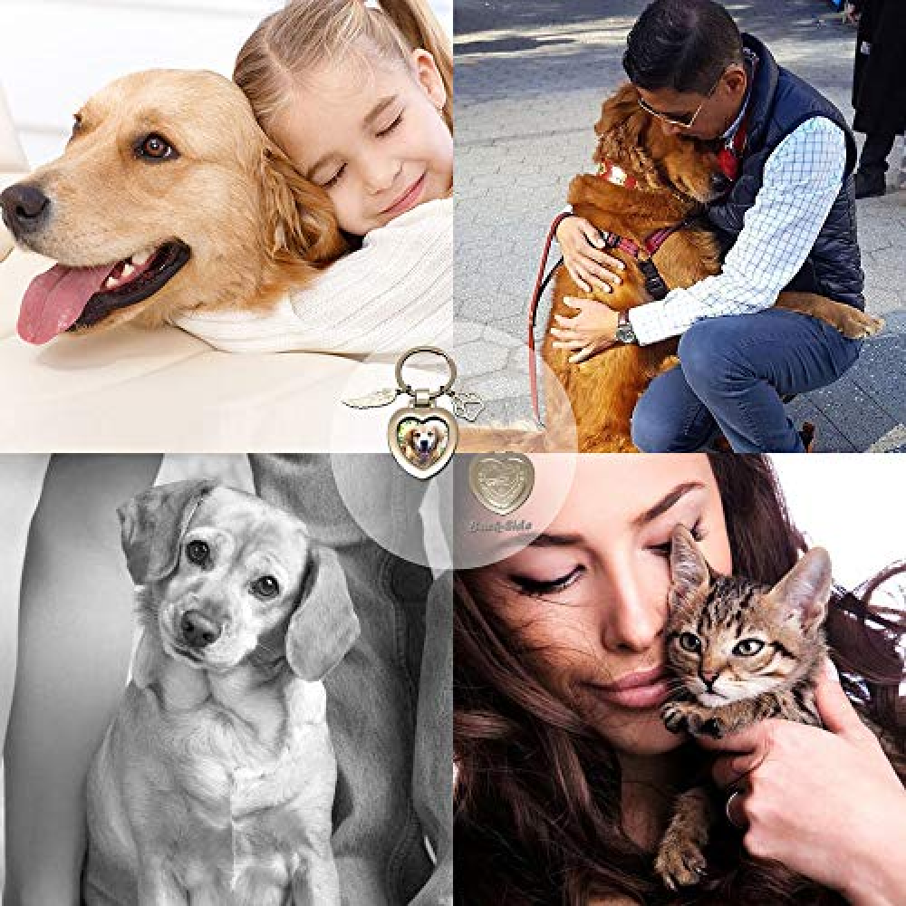 Pet Memorial Keychain Jewelry Angel with Paws for Loss of Dogs or Cats
