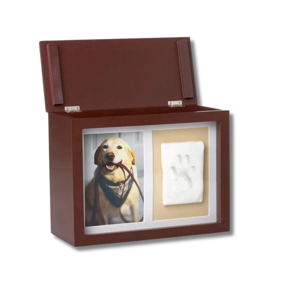 Pet Photo Memory Box and Paw Print + Ink Kit