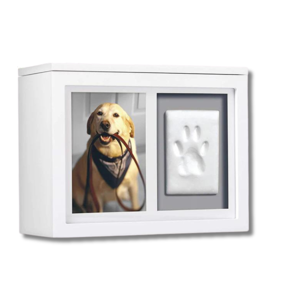 Pet Photo Memory Box and Paw Print + Ink Kit