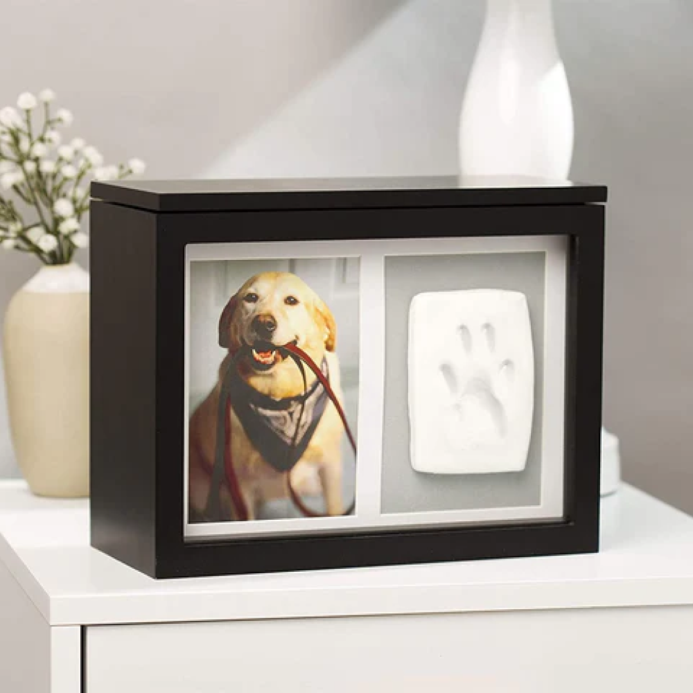 Pet Photo Memory Box and Paw Print + Ink Kit
