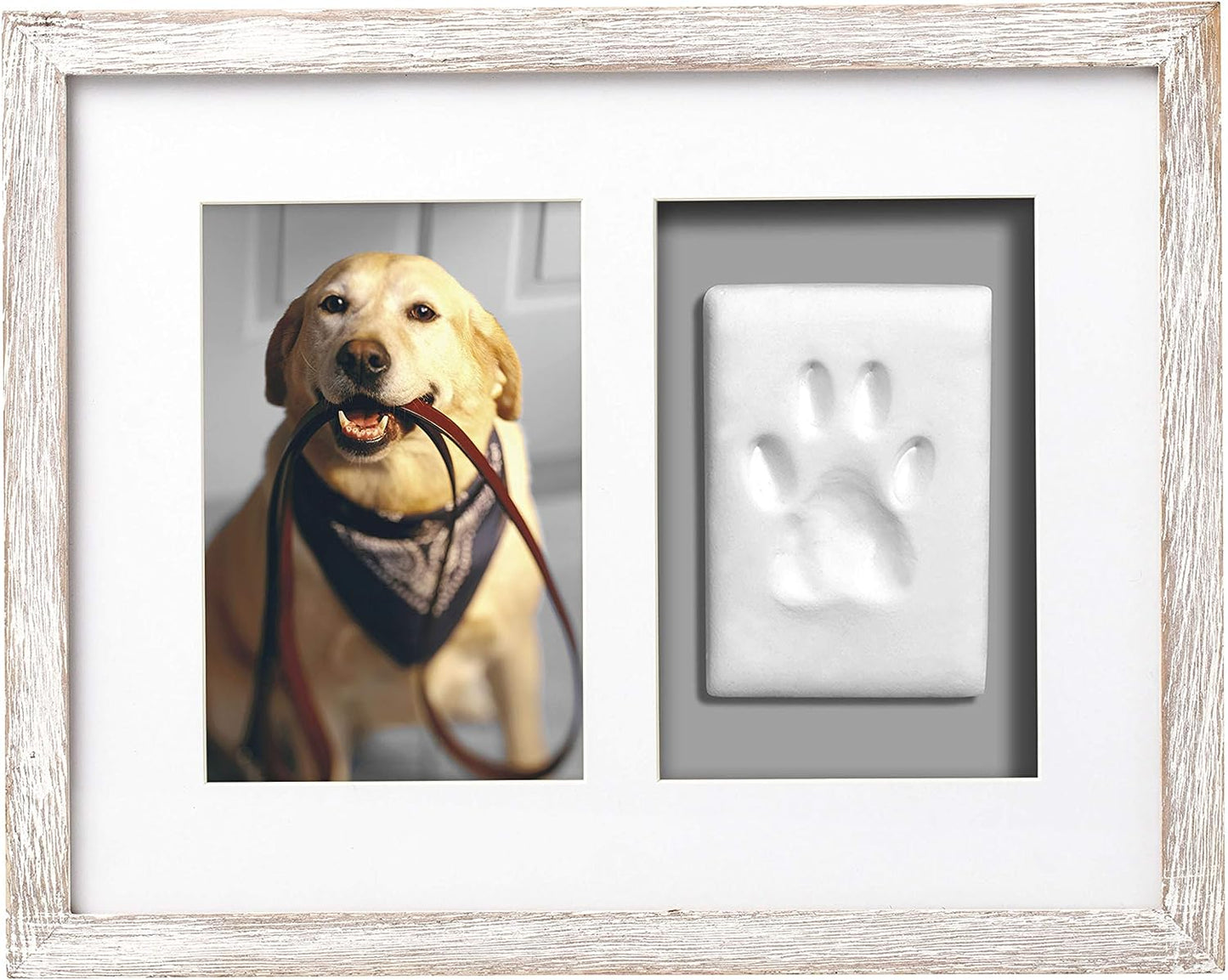 Pet Pawprints Wall Picture Frame and Clay Impression Kit, Distressed White