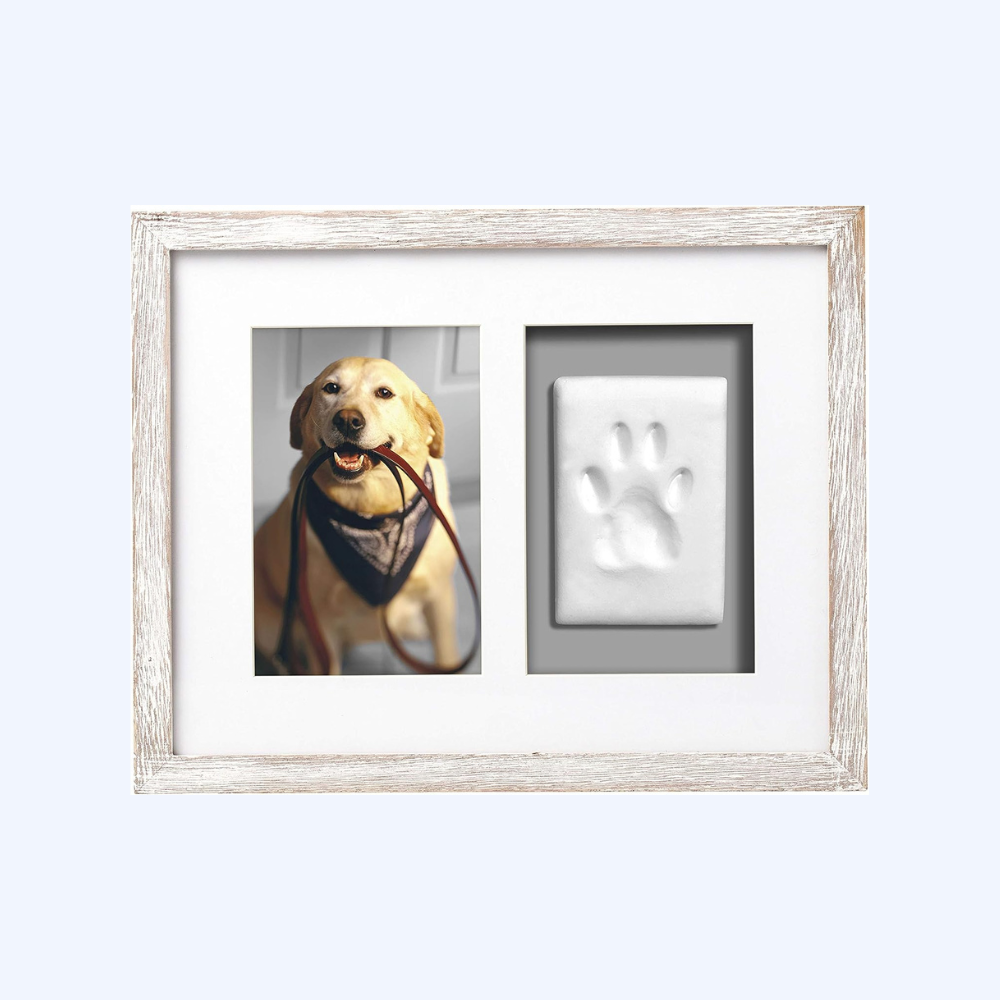 Pet Pawprints Wall Picture Frame and Clay Impression Kit, Distressed White