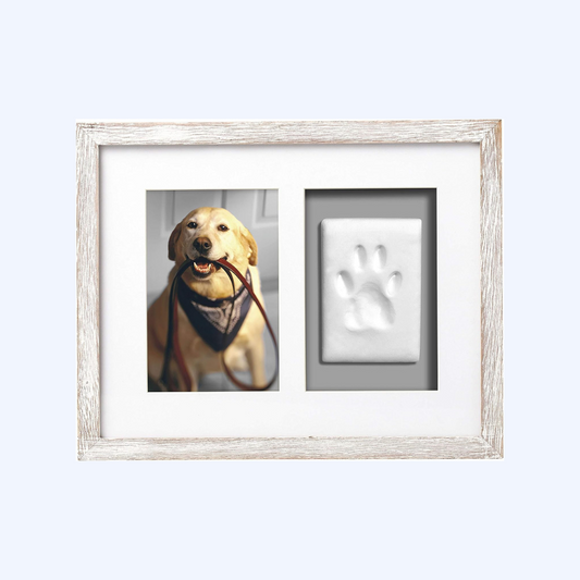 Pet Pawprints Wall Picture Frame and Clay Impression Kit, Distressed White