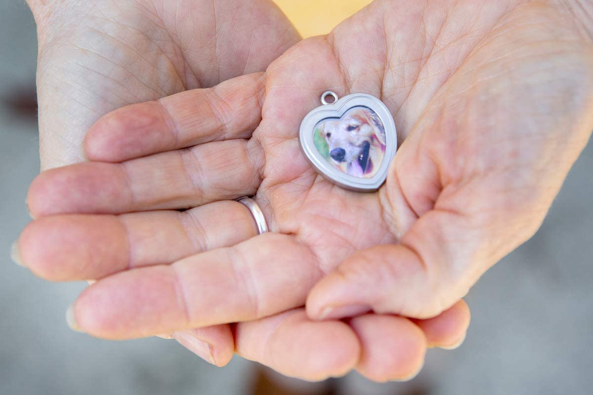 pet memorial website