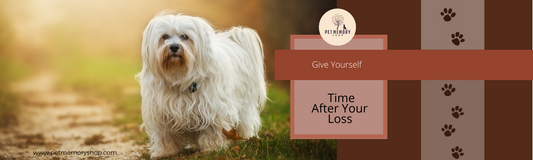 Give Yourself Time after Pet Loss