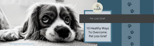 How to handle Pet Loss