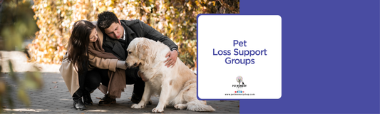 Pet Loss Support Groups