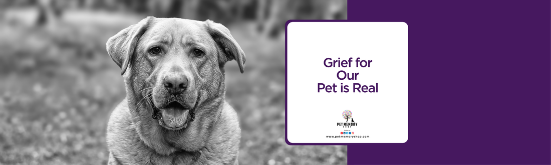 Pet Grief