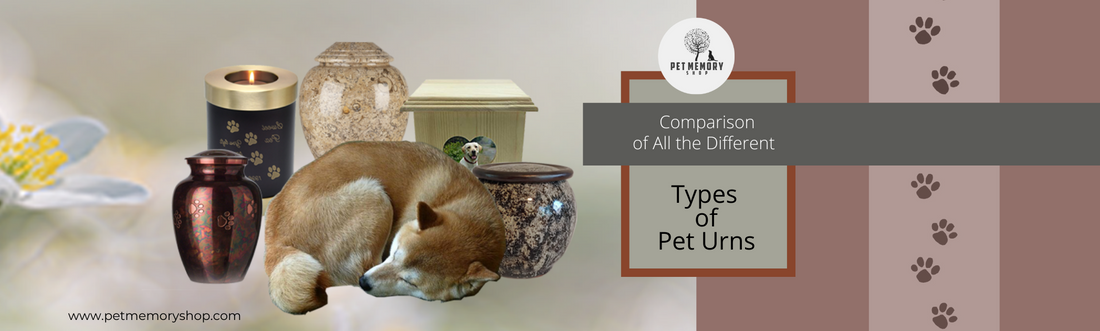 Types of Pet Urns