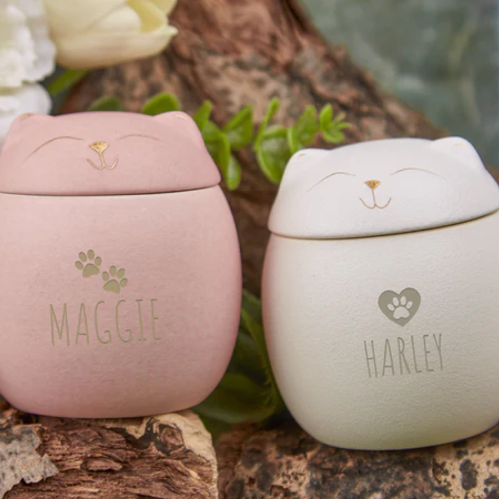 Custom Cat Urn - Personalized Name, Font, & Symbol (5 Available Colors)