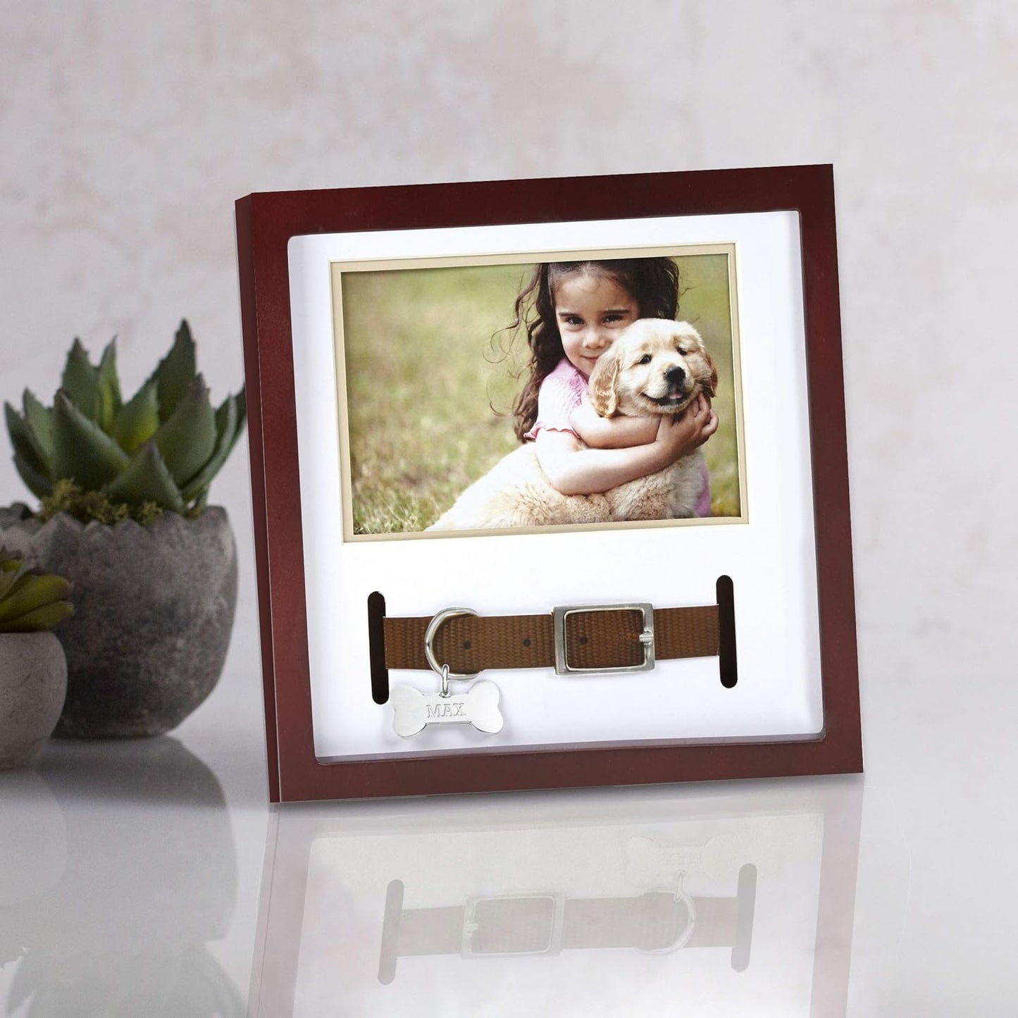 Pet Collar Memorial Keepsake Photo Frame Shadowbox (Espresso)