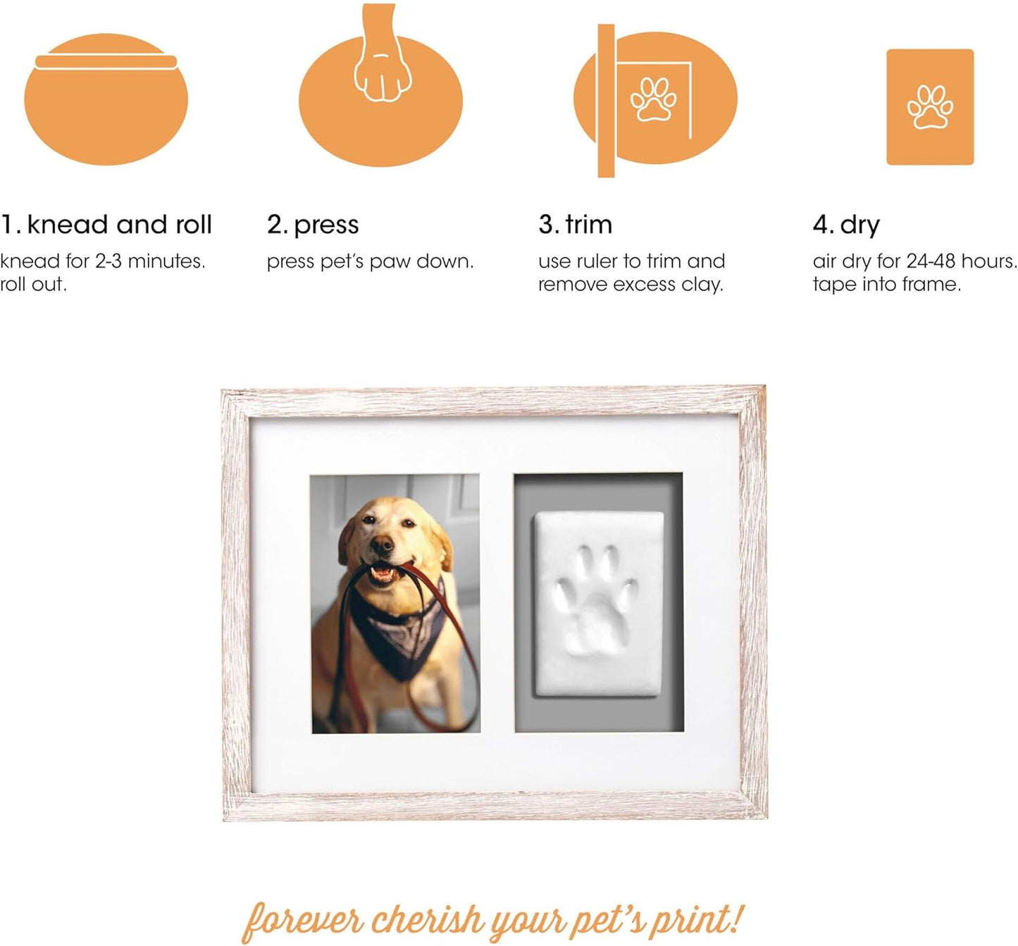 Pet Pawprints Wall Picture Frame and Clay Impression Kit, Distressed White