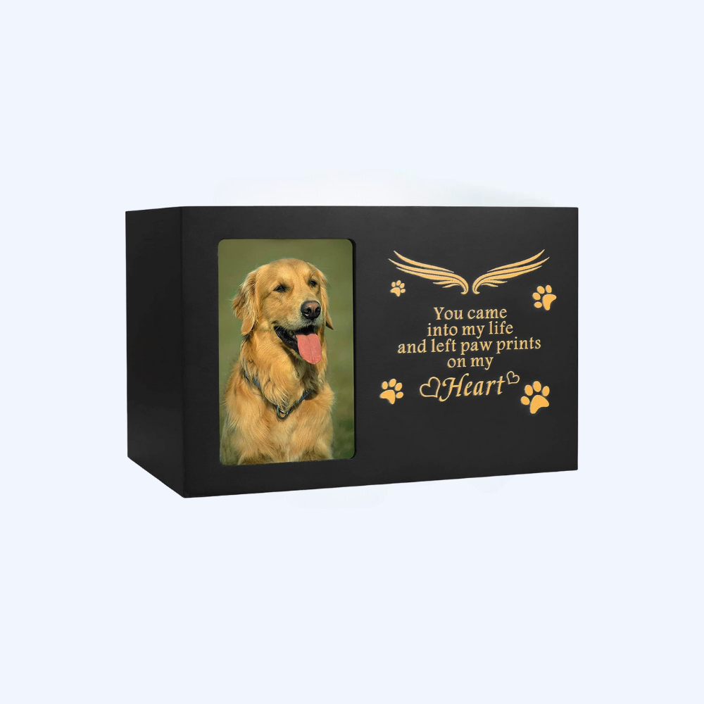 "You Came Into My Life" Wooden Photo Pet Urn