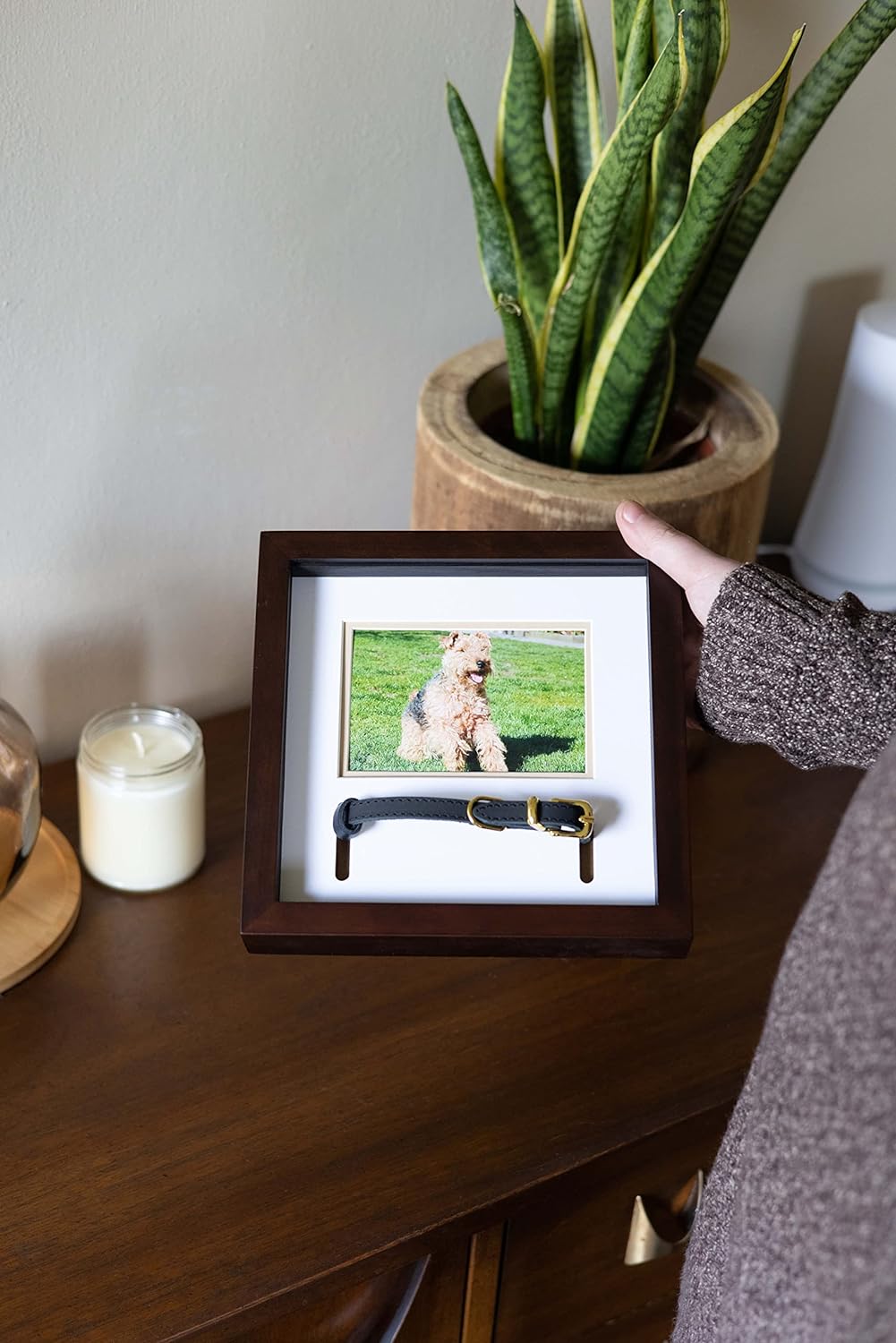 Pet Collar Memorial Keepsake Photo Frame Shadowbox (Espresso)