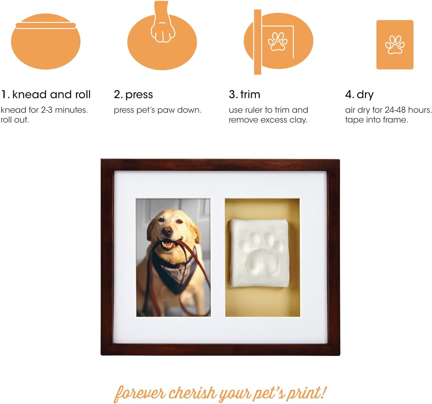 Paw Prints Pet Wall Frame With Clay Imprint Kit Espresso Pet Memory Shop