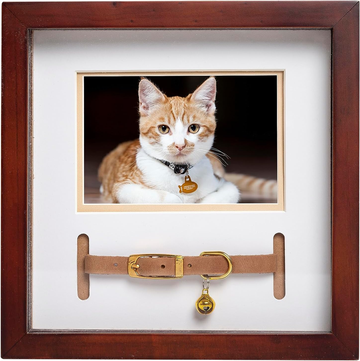 Pet collar frame best sale