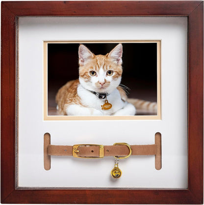 Pet Collar Memorial Keepsake Photo Frame Shadowbox (Espresso)