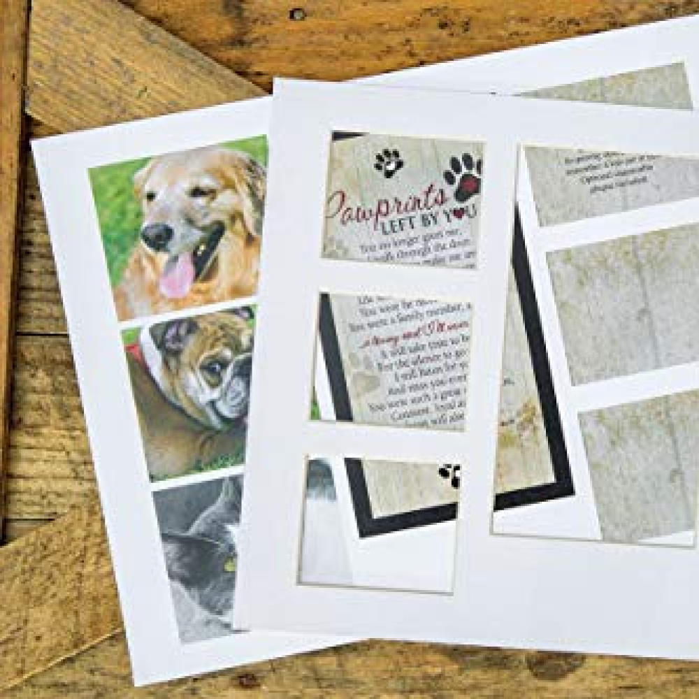 "Pawprints Left by You" Pet Memorial Collage Photo Frame with Sympathy Poem