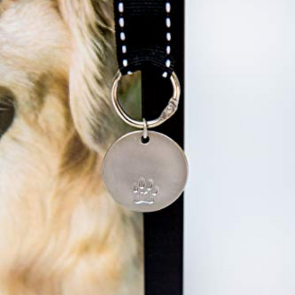 "Pawprints Left By You" Pet Memorial Frame with Pet Tag or Ash Vial