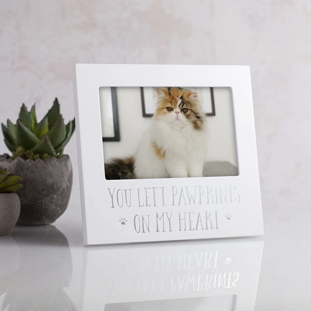 "You Left Pawprints On My Heart" Keepsake Memorial Photo Frame