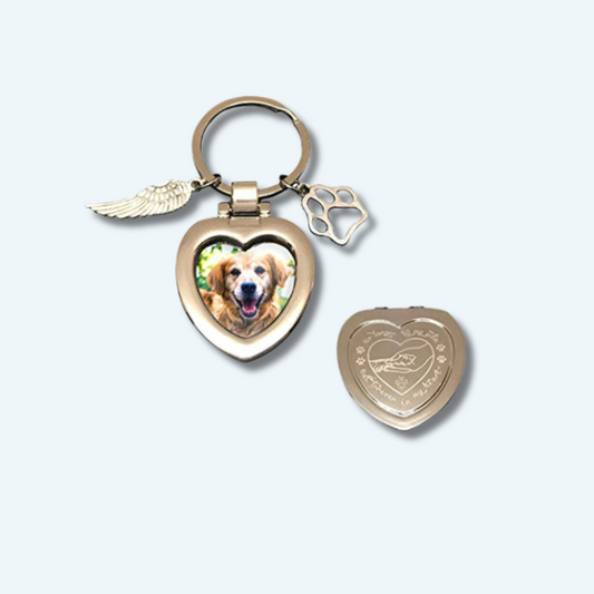 Pet Memorial Keychain Jewelry Angel with Paws for Loss of Dogs or Cats