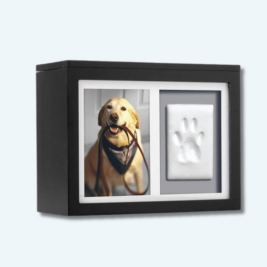 Pet Photo Memory Box and Paw Print + Ink Kit