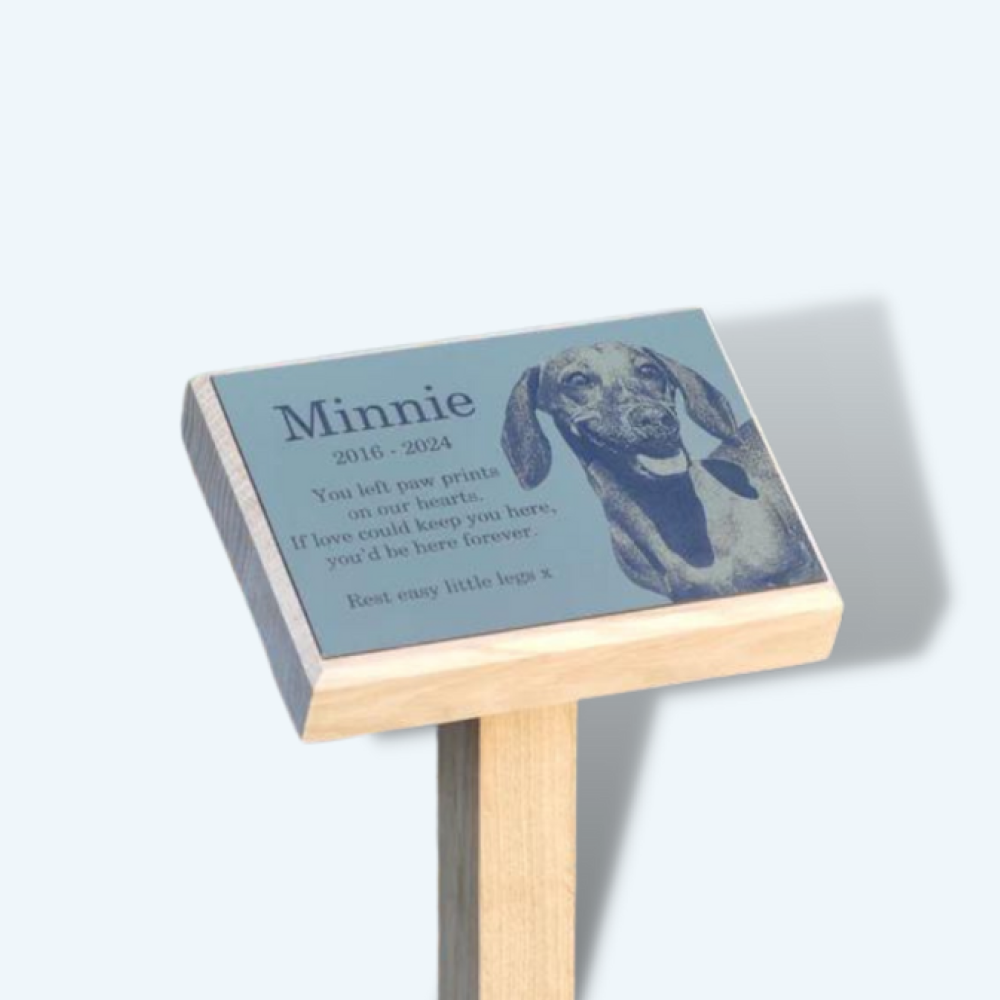 Custom Engraved Pet Memorial Plaque – 2x3, Dog Cat Tag, Urn Art, Made In USA