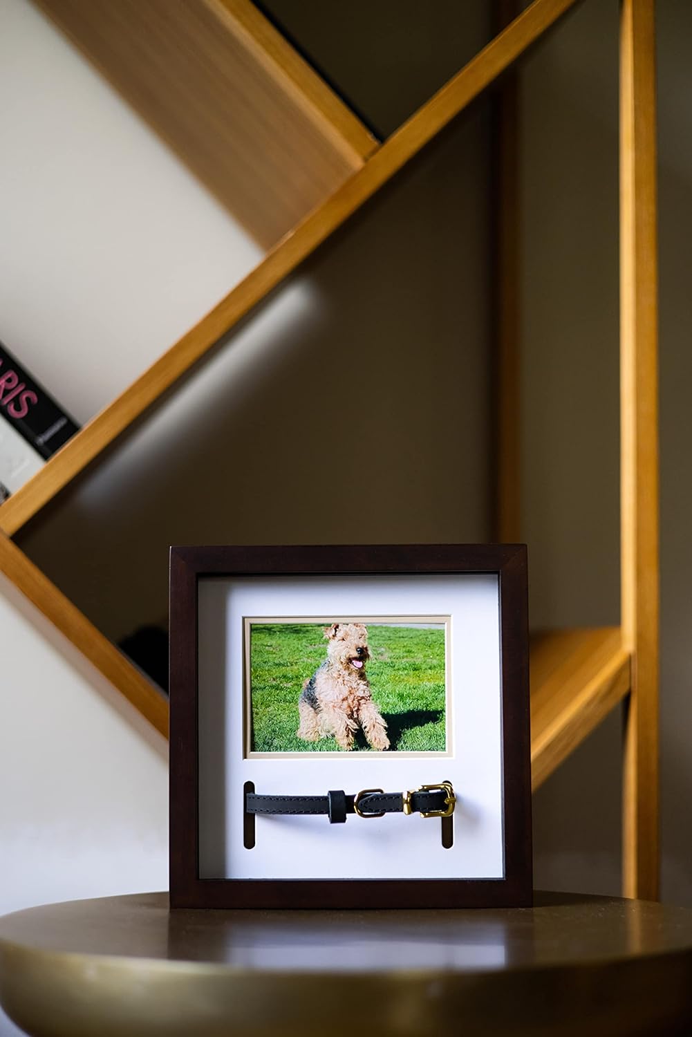 Pet Collar Memorial Keepsake Photo Frame Shadowbox (Espresso)