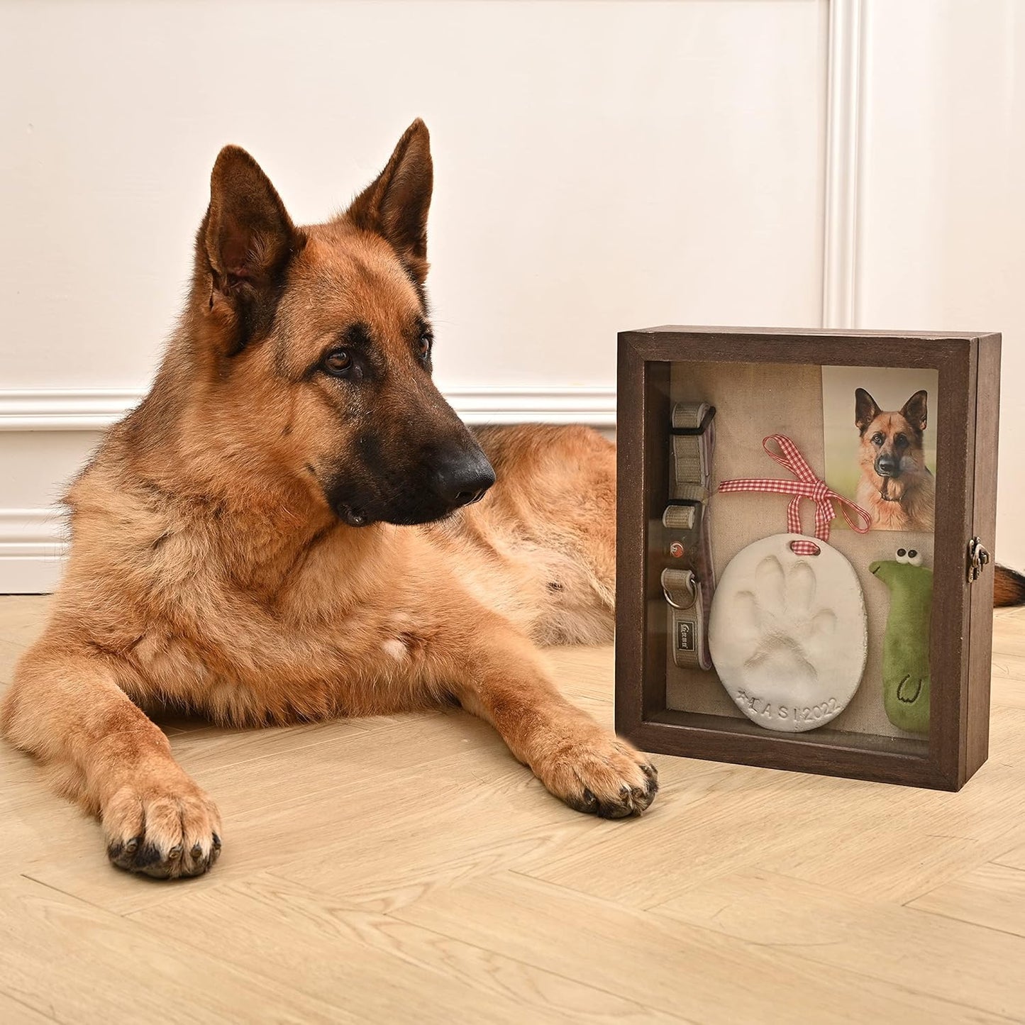 Pet Memorial Shadow Box with Clay Paw Print Impression Kit