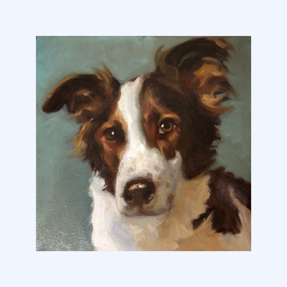 Handmade 10" x 10" Oil Painting of Your Pet by Janet | Support Local Artists