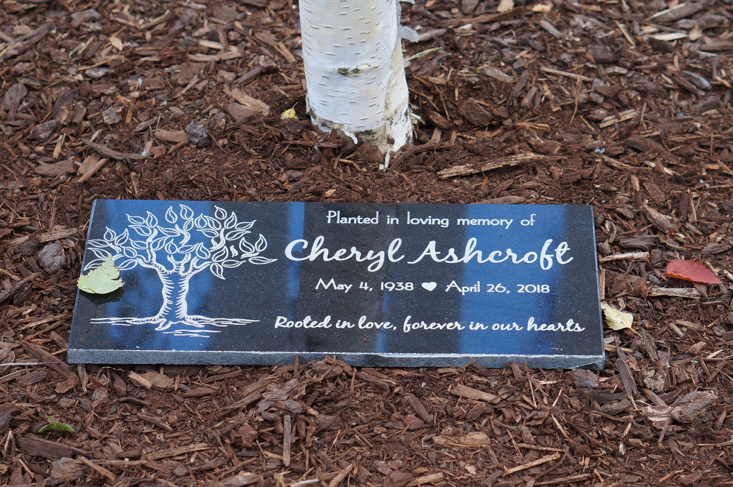 Tree Planting Memorial Granite Plaque Pet Memorial