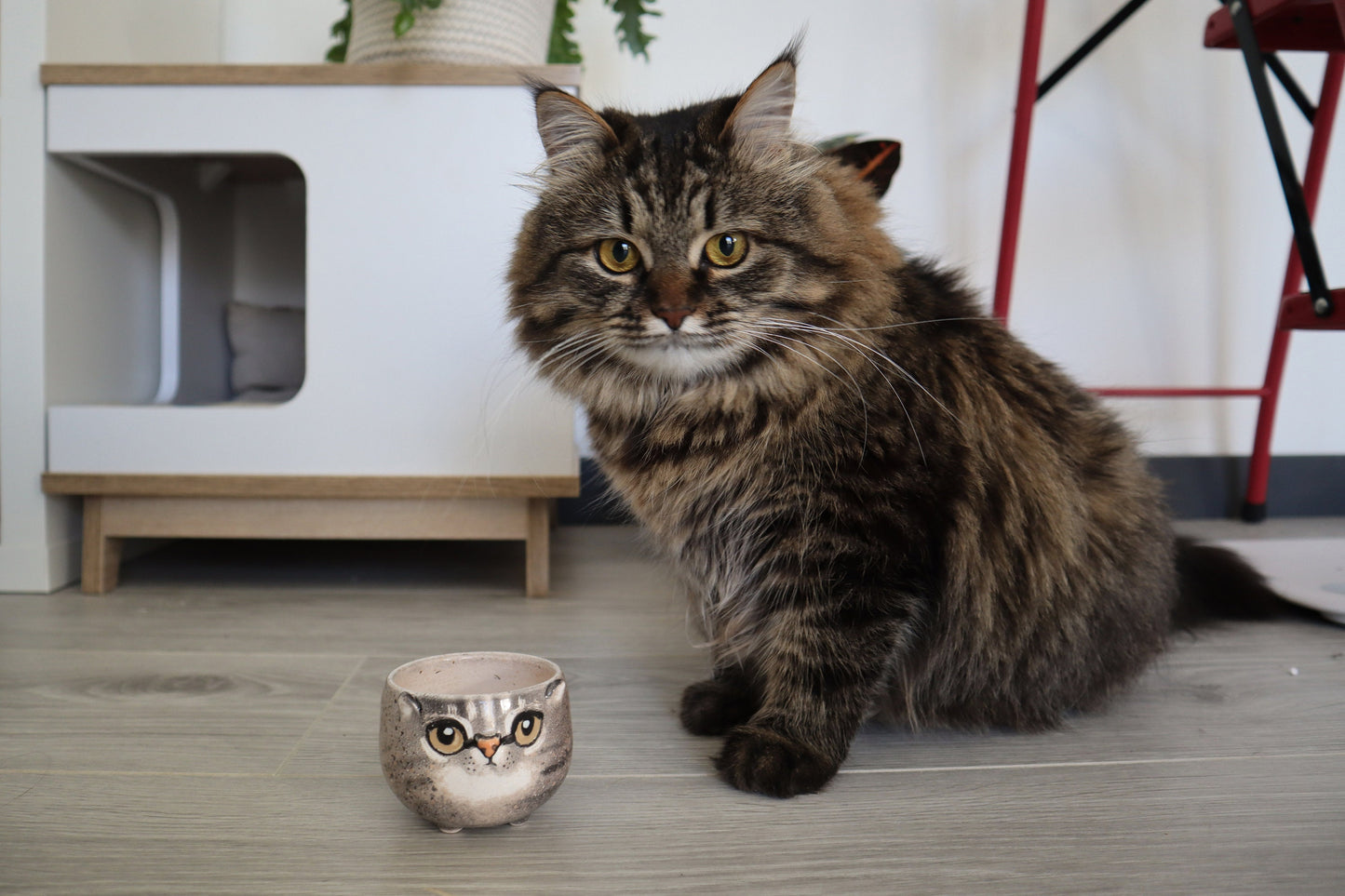 Custom Cat Portrait Pottery Seedling Planter | Personalized Pet Ceramic Succulent Dish