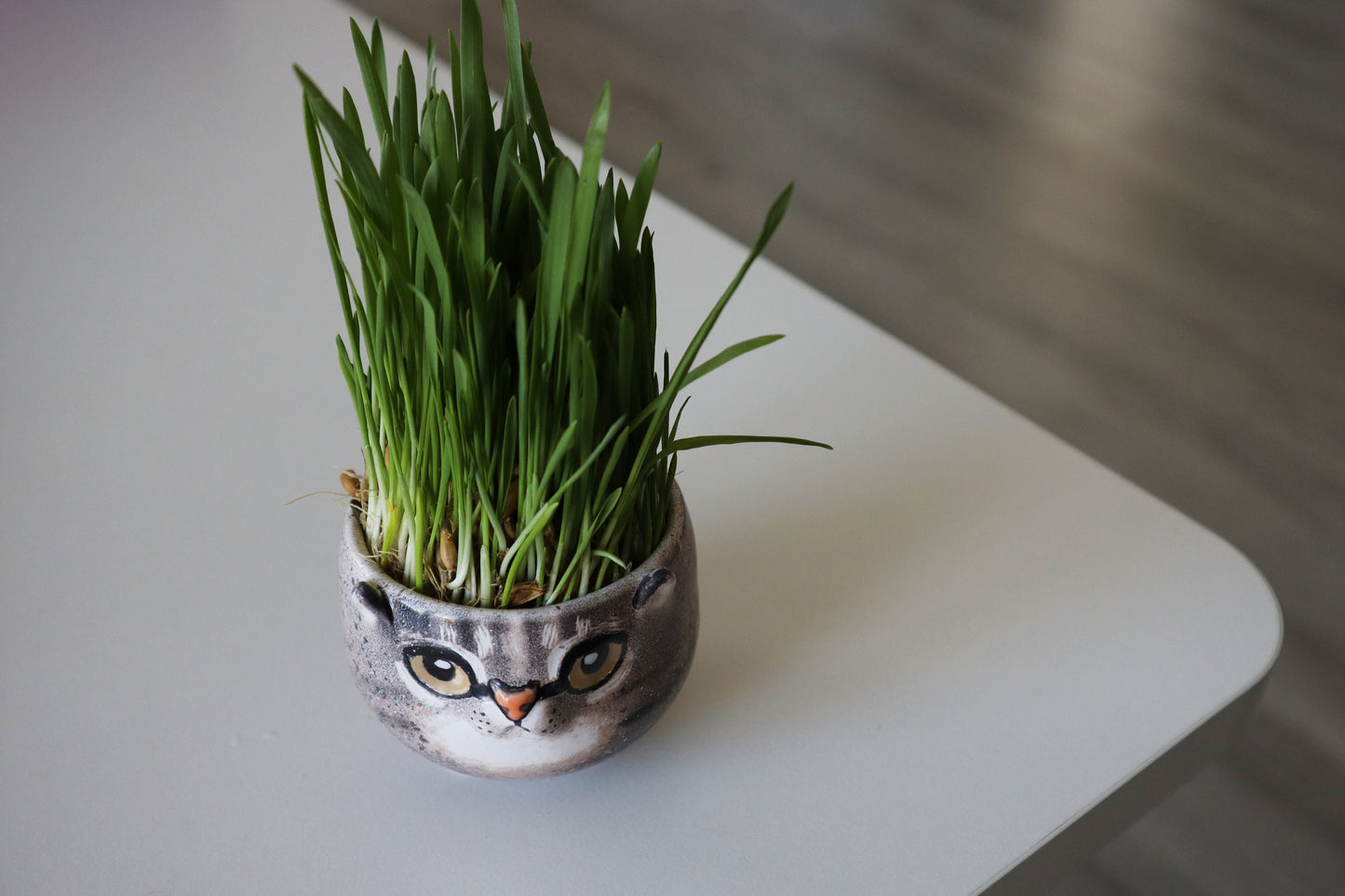 Custom Cat Portrait Pottery Seedling Planter | Personalized Pet Ceramic Succulent Dish